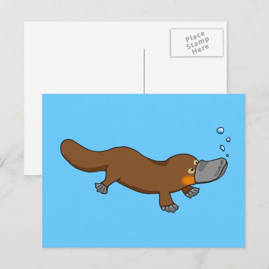 Cute swimming duck-bypus briefkaart (Voorkant / Achterkant)