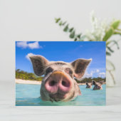 Cute Swimming Pig Exuma Bahamas Kaart (Staand voorkant)