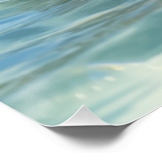 Cute Swimming Pig Exuma Bahamas Perfect Poster (Hoek)