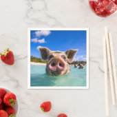 Cute Swimming Pig Exuma Bahamas Servet (Insitu)