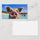 Cute Swimming Pig Exuma Bahamas Visitekaartje (Voorkant / Achterkant)