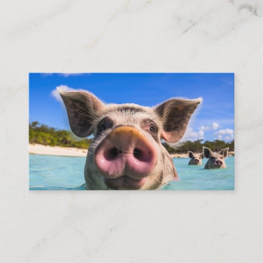 Cute Swimming Pig Exuma Bahamas Visitekaartje (Voorkant)
