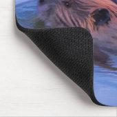 Cute Swimming Wild Beaver Wildlife Art Muismat (Hoek)