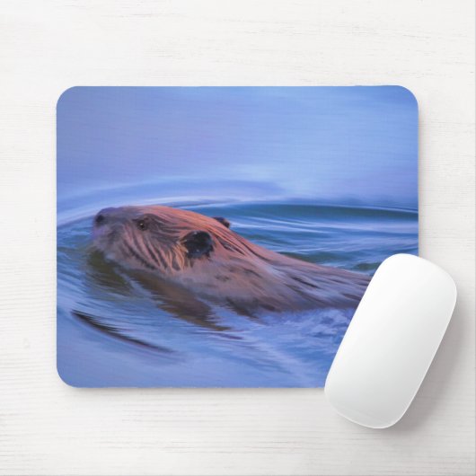 Cute Swimming Wild Beaver Wildlife Art Muismat (Met muis)