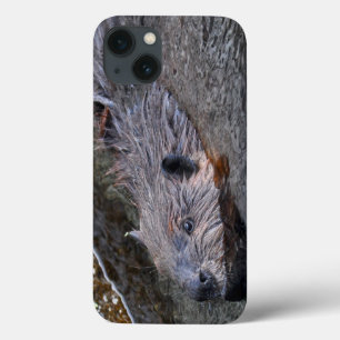 Cute Swimming Wild Beaver Wildlife Foto Case-Mate iPhone Case