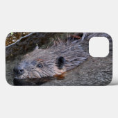 Cute Swimming Wild Beaver Wildlife Foto Case-Mate iPhone Case (Achterkant (horizontaal))