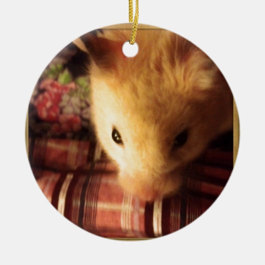 Cute Syrian Hamster Keramisch Ornament (Voorkant)