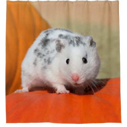 Cute Syrian Hamster White Black Spotted Funny Pet Douchegordijn (Voorkant)