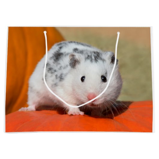Cute Syrian Hamster White Black Spotted Funny Pet Groot Cadeauzakje (Voorkant)