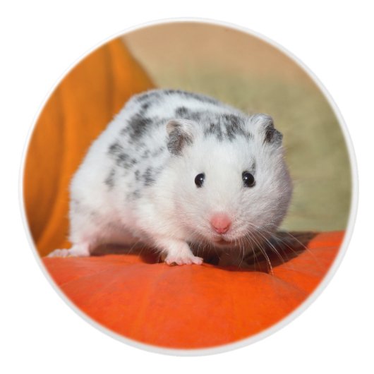 Cute Syrian Hamster White Black Spotted Funny Pet Keramische Knop (Voorkant)