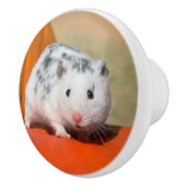 Cute Syrian Hamster White Black Spotted Funny Pet Keramische Knop (Rechts)