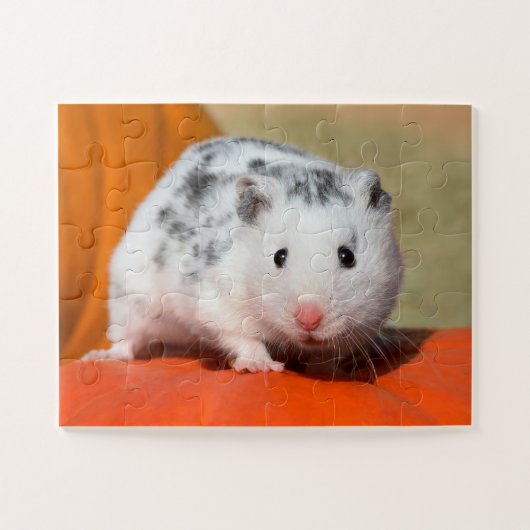 Cute Syrian Hamster White Black Spotted Funny Pet Legpuzzel (Horizontaal)