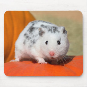Cute Syrian Hamster White Black Spotted Funny Pet Muismat