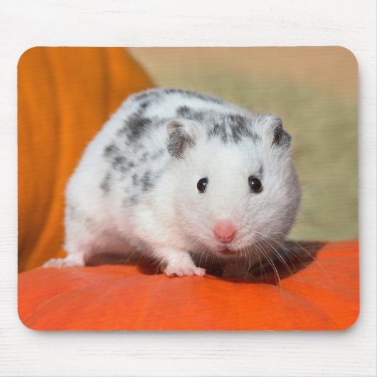 Cute Syrian Hamster White Black Spotted Funny Pet Muismat (Voorkant)