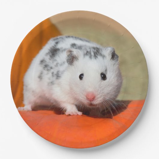 Cute Syrian Hamster White Black Spotted Funny Pet Papieren Bordje (Voorkant)