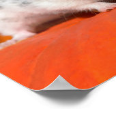 Cute Syrian Hamster White Black Spotted Funny Pet Poster (Hoek)