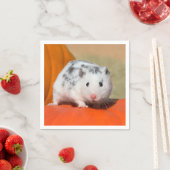 Cute Syrian Hamster White Black Spotted Funny Pet Servet (Insitu)