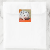 Cute Syrian Hamster White Black Spotted Funny Pet Vierkante Sticker (Tas)