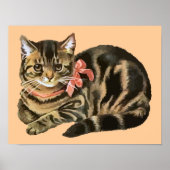 Cute Tabby Calico Cat/Kitten Poster (Voorkant)