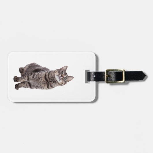 Cute Tabby Cat Bagagelabel (Voorkant horizontaal)