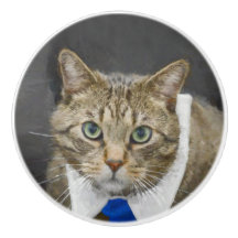 Cute Tabby Cat Brown Grey Elegant Blue Stropdas