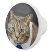 Cute Tabby Cat Brown Grey Elegant Blue Stropdas Keramische Knop (Rechts)