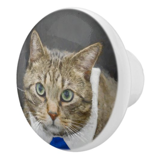 Cute Tabby Cat Brown Grey Elegant Blue Stropdas Keramische Knop (Rechts)