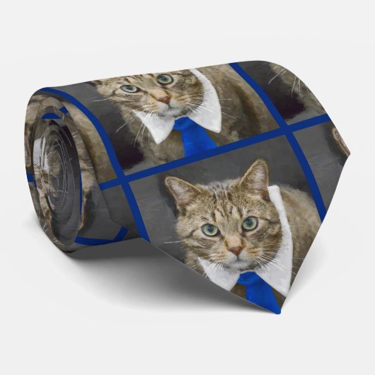Cute Tabby Cat Brown Wearing Blue Stropdas (Opgerold)