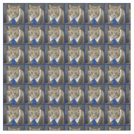 Cute Tabby Cat Brown Wearing Blue Stropdas Stof