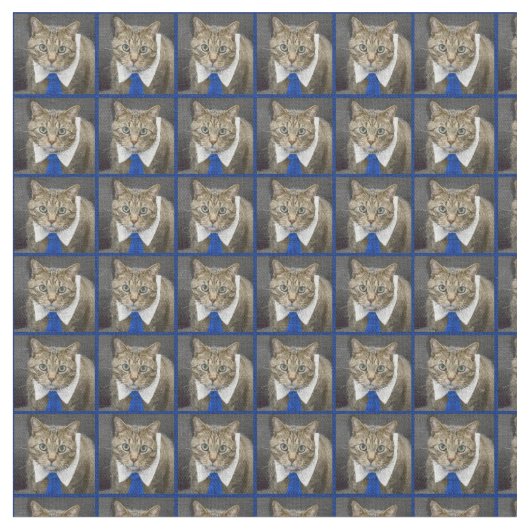 Cute Tabby Cat Brown Wearing Blue Stropdas Stof (Close Up)