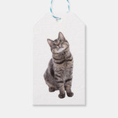 Cute Tabby Cat Cadeaulabel (Voorkant)