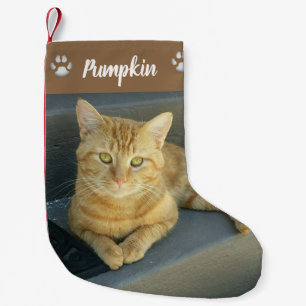 Cute Tabby Cat Custom Pet Foto gepersonaliseerd Kleine Kerstsok