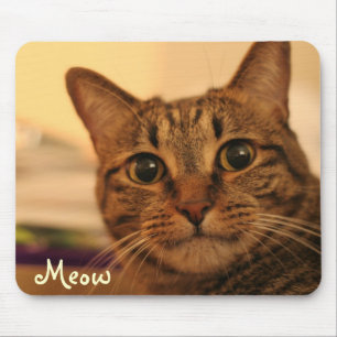 Cute tabby cat face mousepad muismat