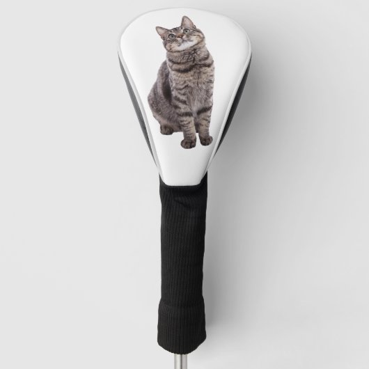 Cute Tabby Cat Golfheadcover (Voorkant)