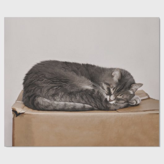 Cute Tabby Cat Gray Slaping Box Cadeaupapier (Vlak)
