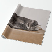 Cute Tabby Cat Gray Slaping Box Cadeaupapier (Uitgerold)