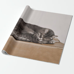 Cute Tabby Cat Gray Slaping Box Cadeaupapier