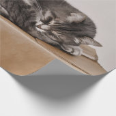 Cute Tabby Cat Gray Slaping Box Cadeaupapier (Hoek)