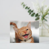 Cute tabby cat huilen met één oog briefkaart (Staand voorkant)