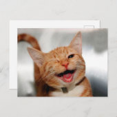 Cute tabby cat huilen met één oog briefkaart (Voorkant / Achterkant)