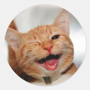 Cute tabby cat huilen met één oog ronde sticker