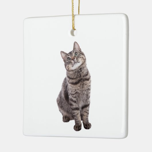 Cute Tabby Cat Keramisch Ornament (Links)