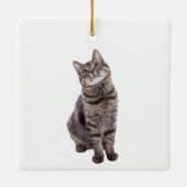 Cute Tabby Cat Keramisch Ornament (Achterkant)