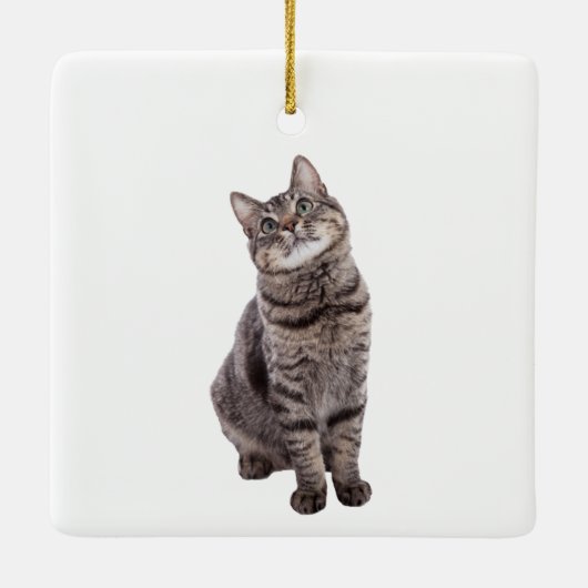 Cute Tabby Cat Keramisch Ornament (Achterkant)