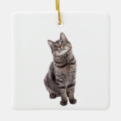 Cute Tabby Cat Keramisch Ornament (Voorkant)