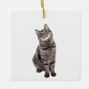 Cute Tabby Cat Keramisch Ornament
