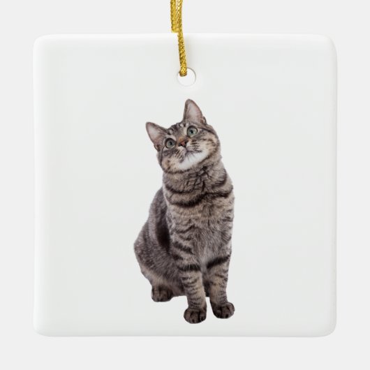 Cute Tabby Cat Keramisch Ornament (Voorkant)