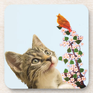 Cute Tabby Cat & Little Bird on Light Blue Bier Onderzetter