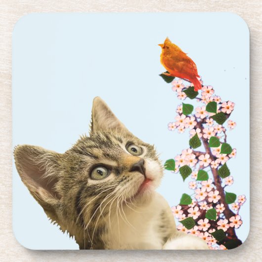 Cute Tabby Cat & Little Bird on Light Blue Bier Onderzetter (Voorkant)
