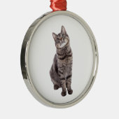 Cute Tabby Cat Metalen Ornament (Rechts)